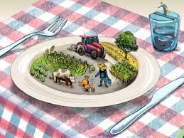 Farm to Fork: A Cook Farm to Fork: A Cook