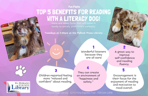 PP - Literacy Dog