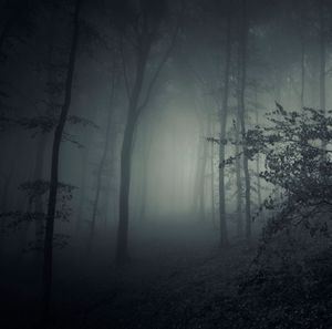 Mary Shelley’s Mary Shelley’s
